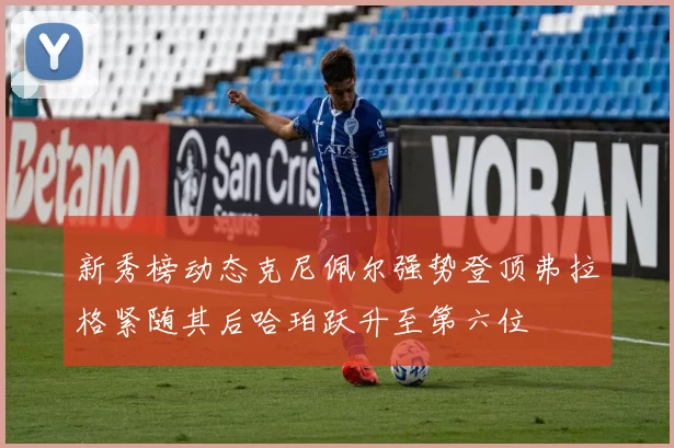 新秀榜动态克尼佩尔强势登顶弗拉格紧随其后哈珀跃升至第六位